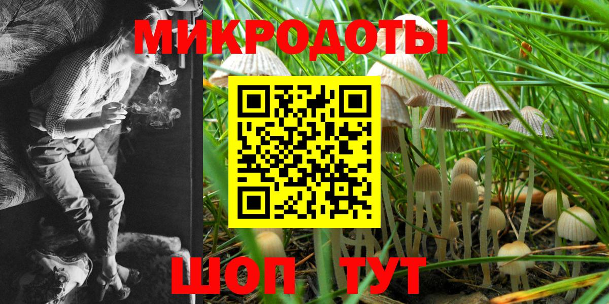 Галлюциногенные грибы мухоморы Ессентуки