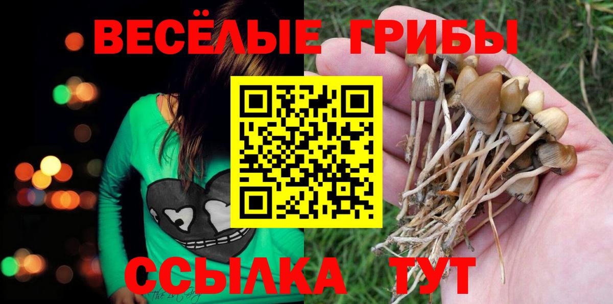 Ессентуки  Галлюциногенные грибы ЛСД  Галлюциногенные грибы Cubensis  Вход с VPN 
